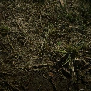 Meet your Posher, Bradon